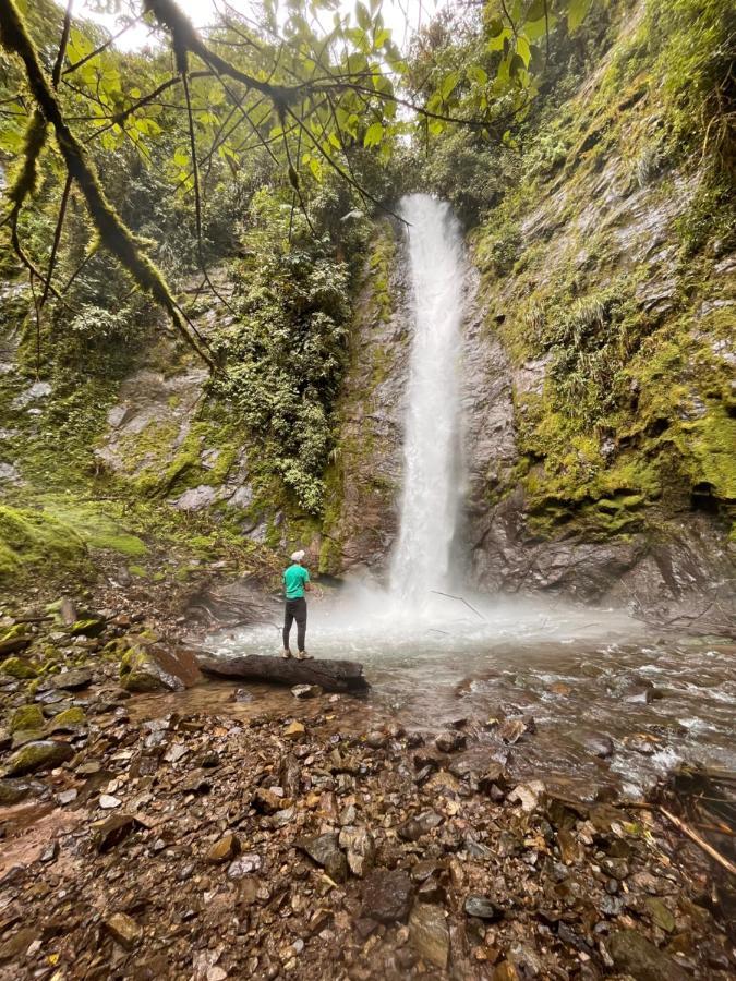 Saguamby Mindo Lodge Luaran gambar